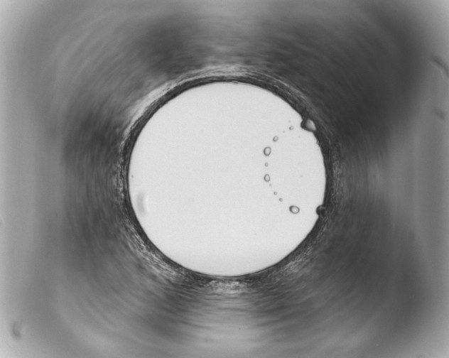 X0000103491168200810101015