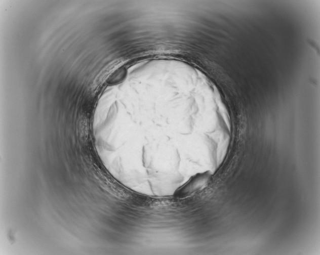 X0000103491169200810101015