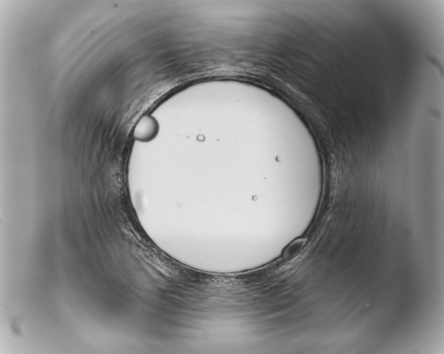 X0000103491170200810101015