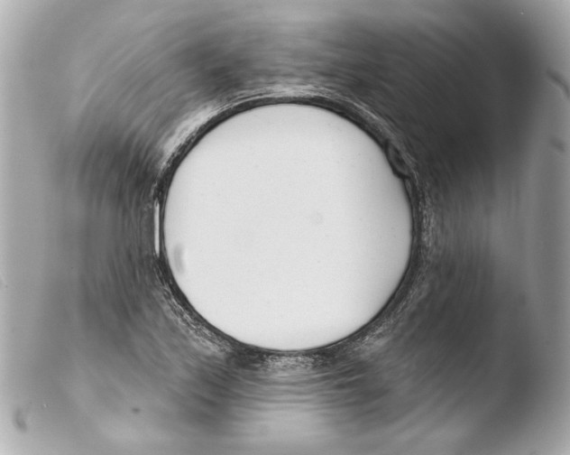 X0000103491171200810101015