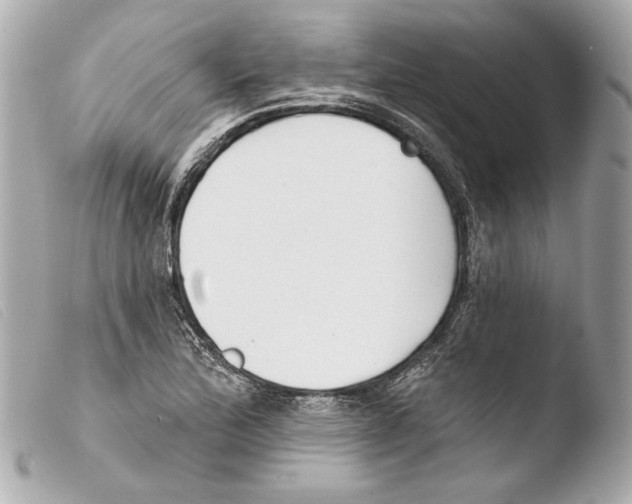 X0000103491172200810101015