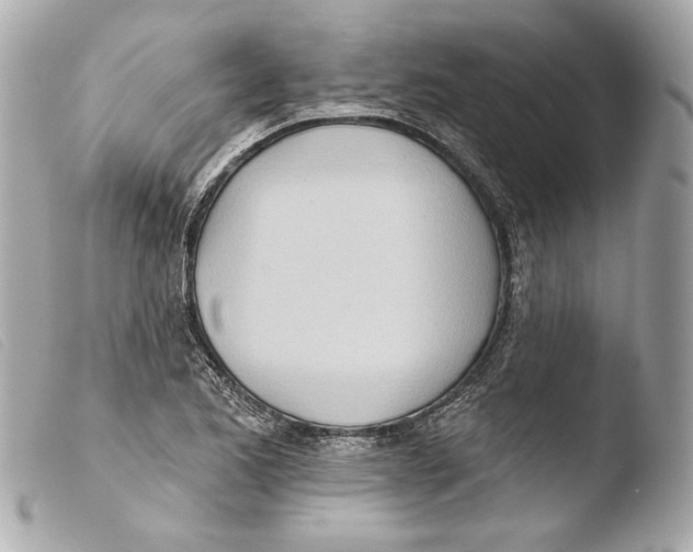 X0000103491173200810101015