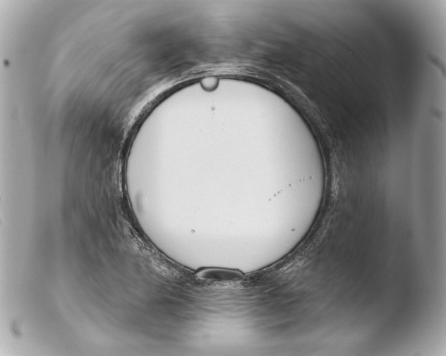 X0000103491174200810101015