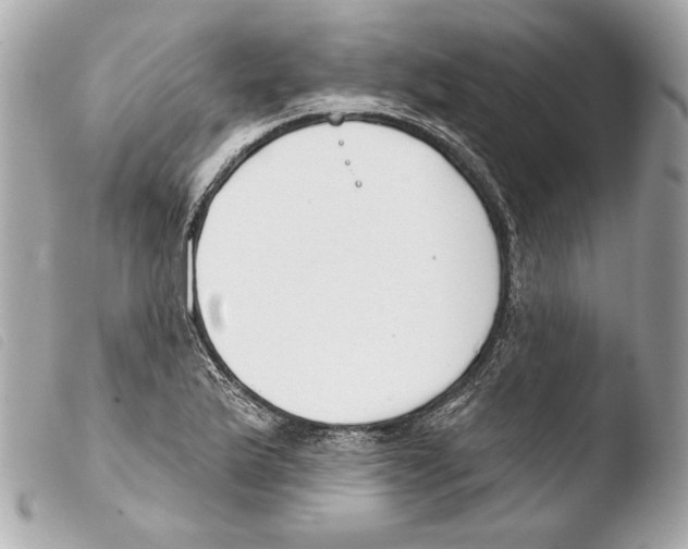 X0000103491175200810101015