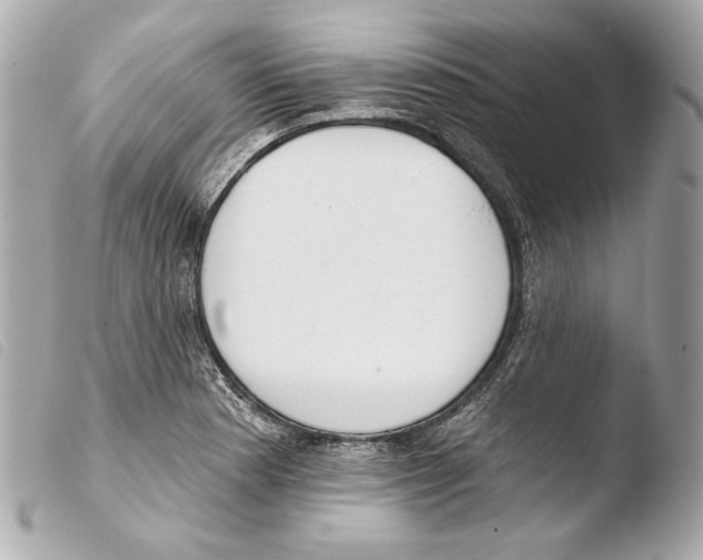 X0000103491177200810101015