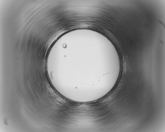 X0000103491178200810101015