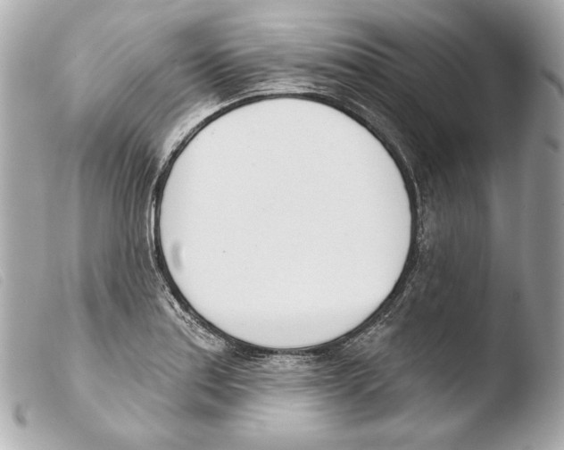 X0000103491179200810101015