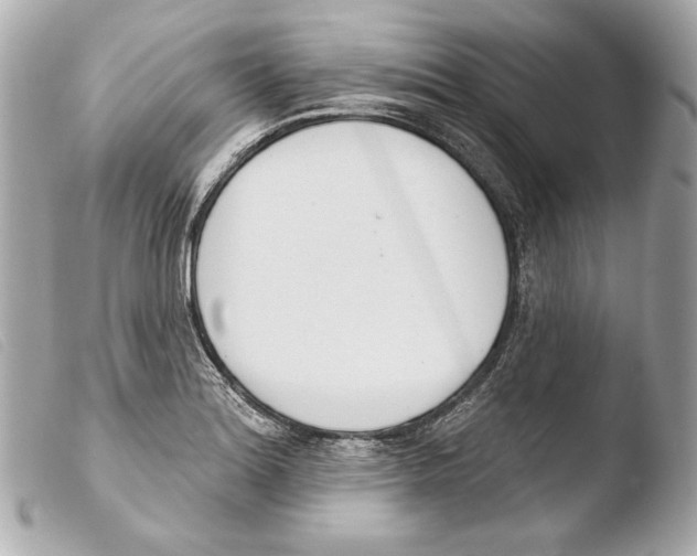 X0000103491180200810101015