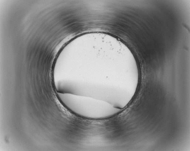 X0000103491181200810101015