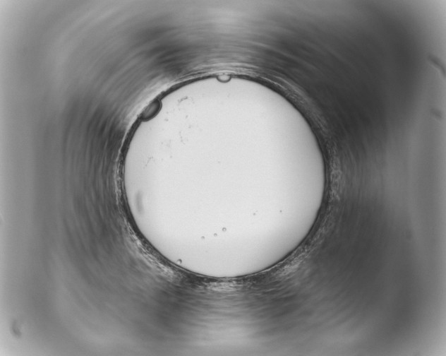 X0000103491182200810101015