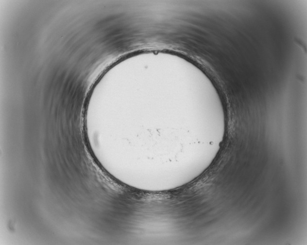 X0000103491183200810101015