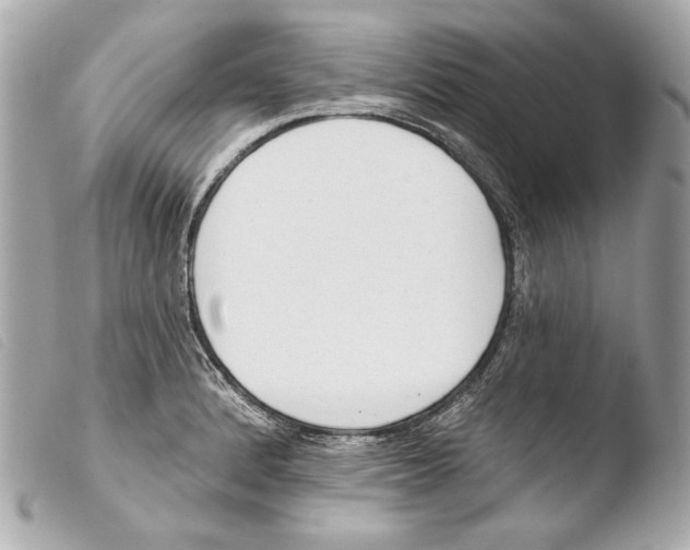 X0000103491184200810101015