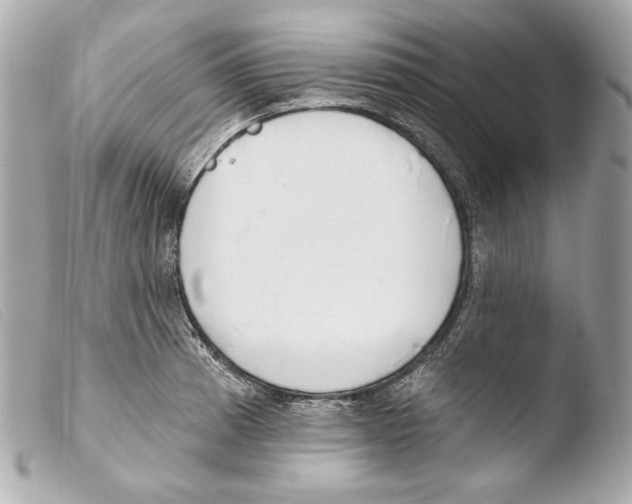 X0000103491185200810101015