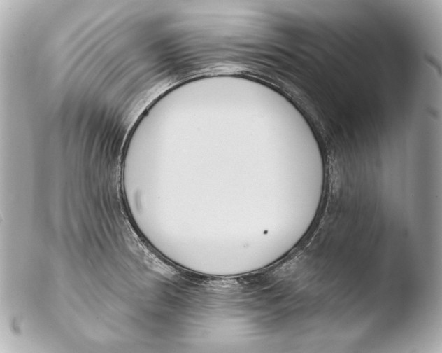 X0000103491186200810101015