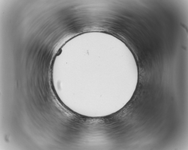 X0000103491187200810101015