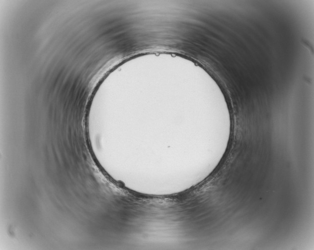 X0000103491189200810101015