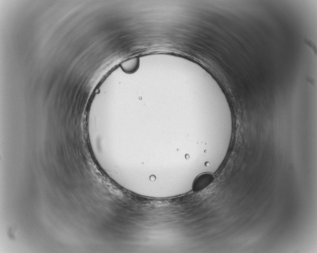 X0000103491190200810101015