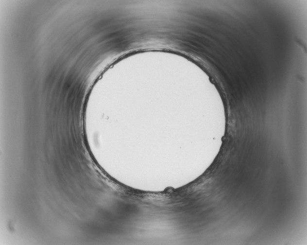 X0000103491191200810101015