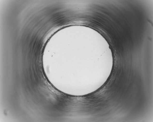 X0000103491192200810101015