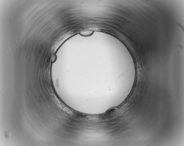 X0000103491194200810101015