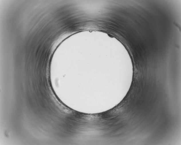 X0000103491195200810101015