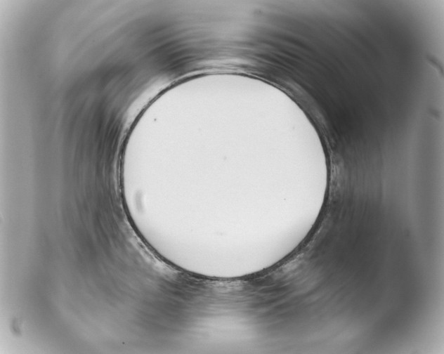 X0000103491196200810101015