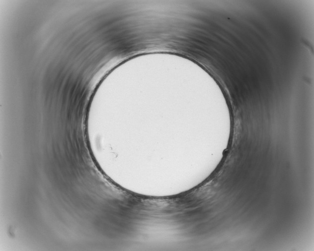 X0000103491197200810101015