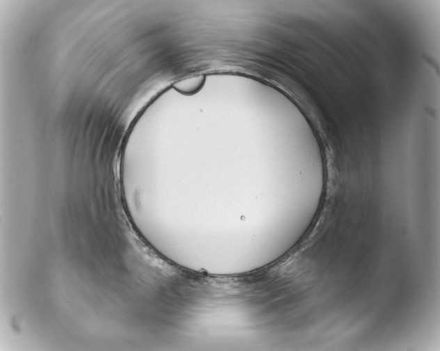 X0000103491198200810101015