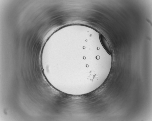 X0000103491199200810101015