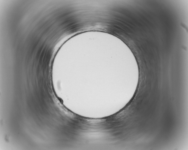 X0000103491200200810101015