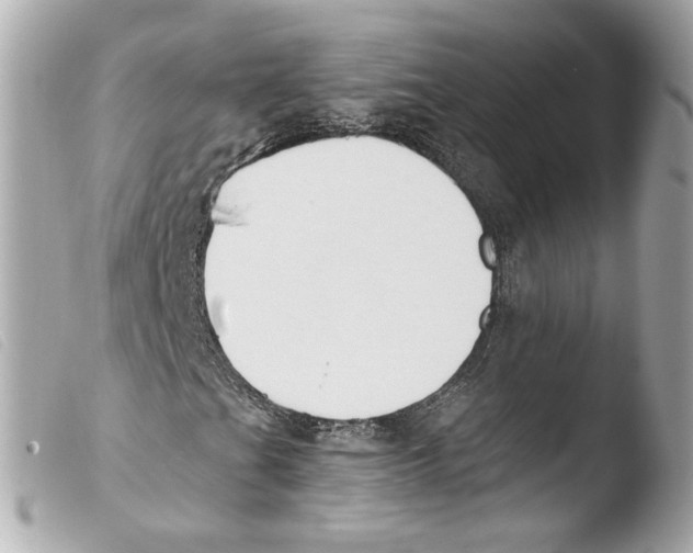 X0000103491201200810101014