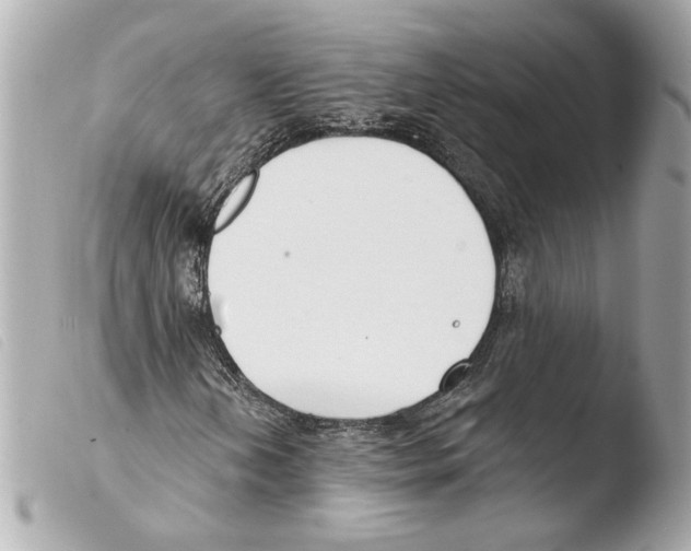 X0000103491202200810101014