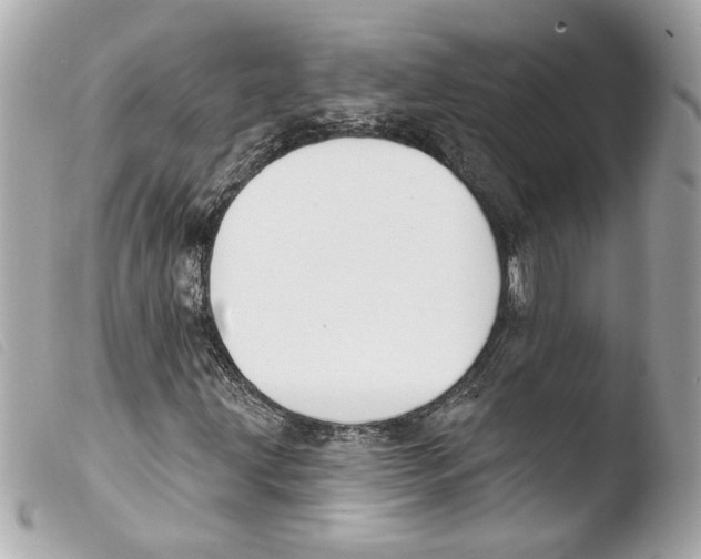 X0000103491203200810101014