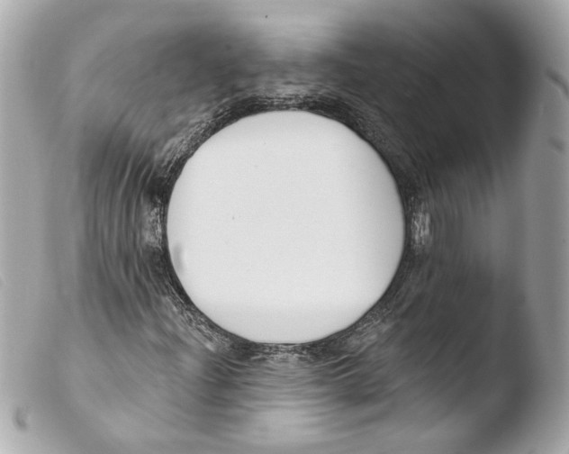 X0000103491204200810101014