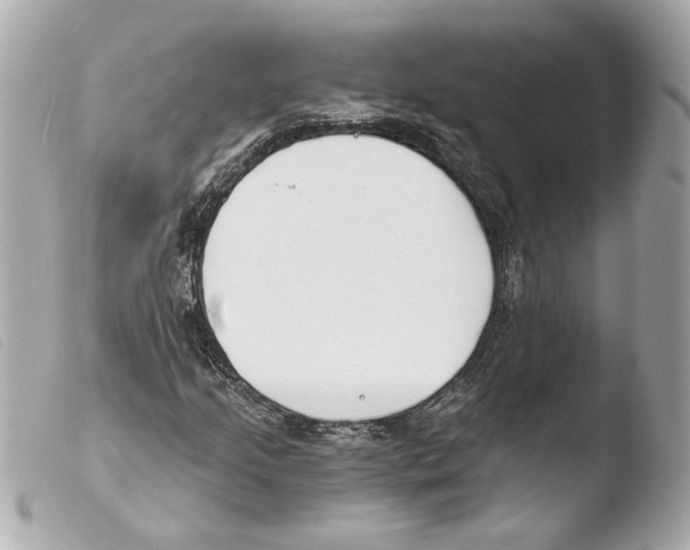 X0000103491205200810101014