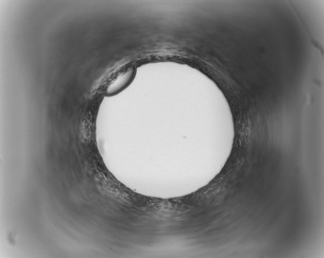 X0000103491207200810101014