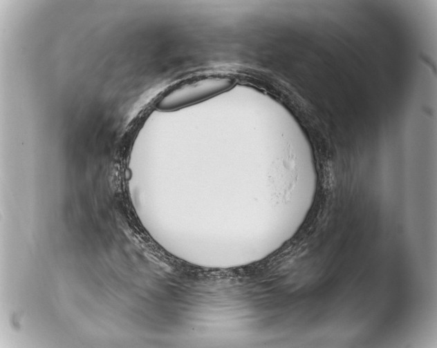 X0000103491208200810101014