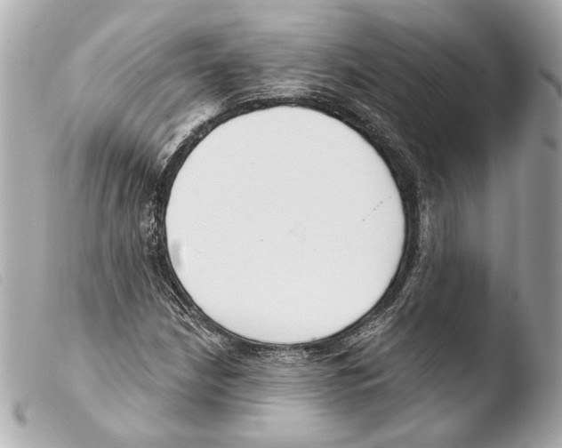 X0000103491210200810101014