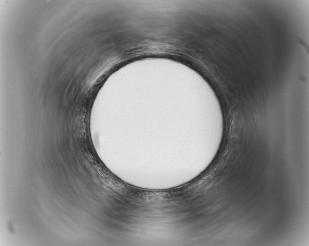 X0000103491211200810101014