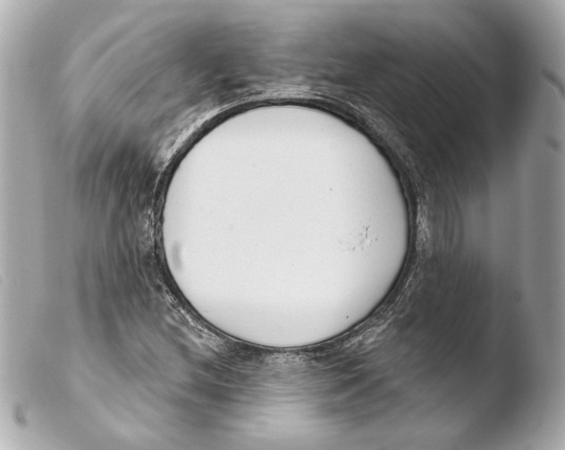 X0000103491212200810101014