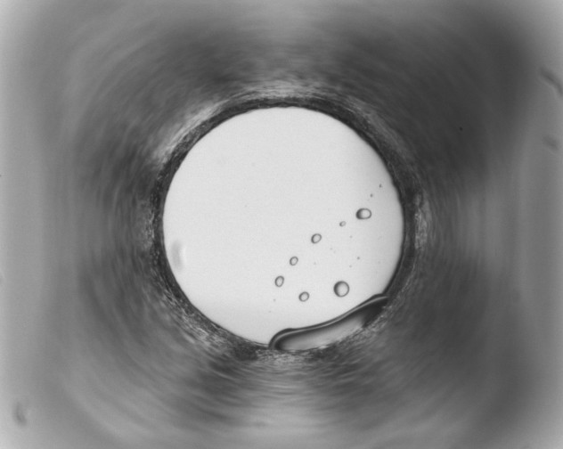 X0000103491213200810101014