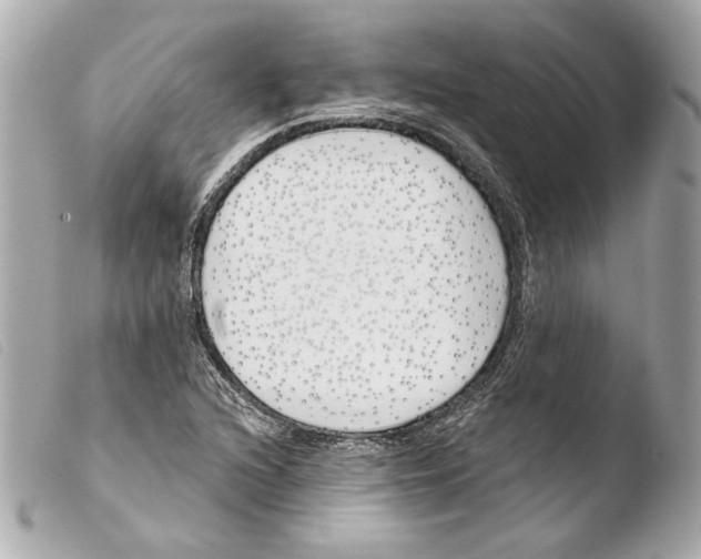 X0000103491216200810101014