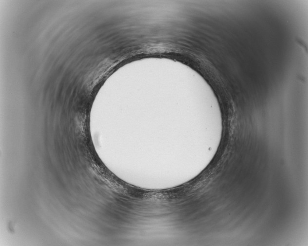 X0000103491217200810101014