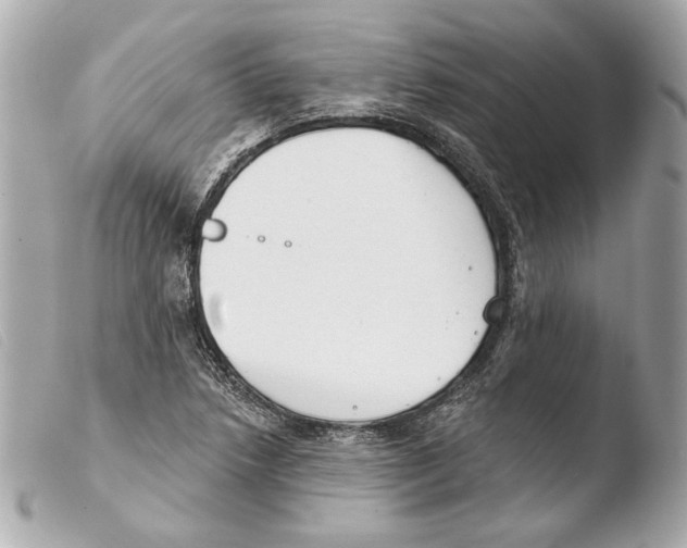 X0000103491218200810101014