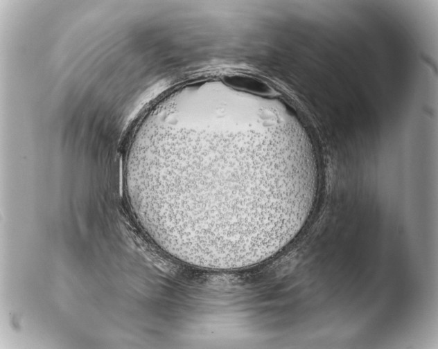 X0000103491219200810101014