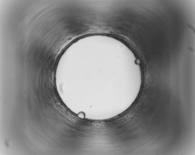 X0000103491220200810101014