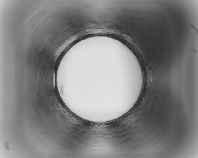 X0000103491221200810101014