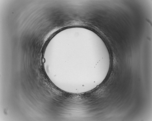 X0000103491222200810101014