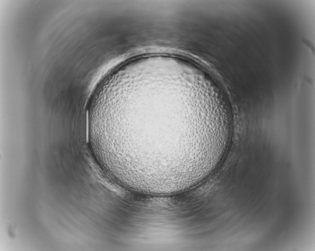 X0000103491223200810101014