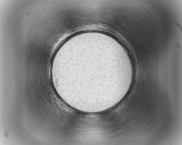 X0000103491224200810101014